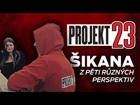ŠIKANA Z PĚTI RŮZNÝCH PERSPEKTIV