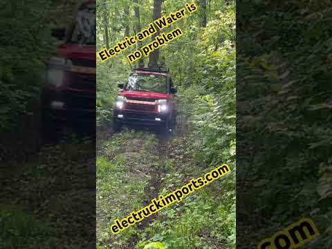 Electric Mini Truck meets water 😱. #minitruck #mudding