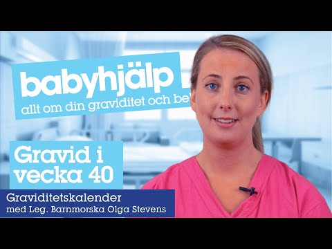 Gravid vecka 40 - kroppen och fostrets utveckling i graviditetsvecka 40