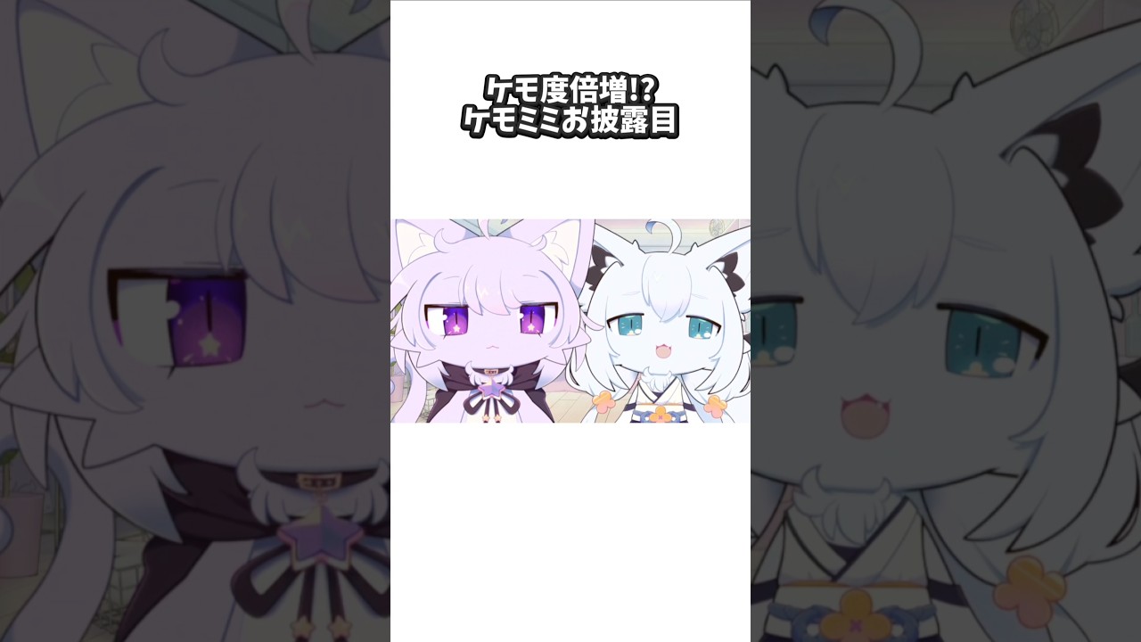 ケモ度倍増!?ケモミミお披露目  #ホロライブ #白上フブキ #猫又おかゆ #切り抜き #エイプリルフール #shorts #hololive