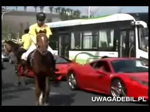 Koń vs ferrari