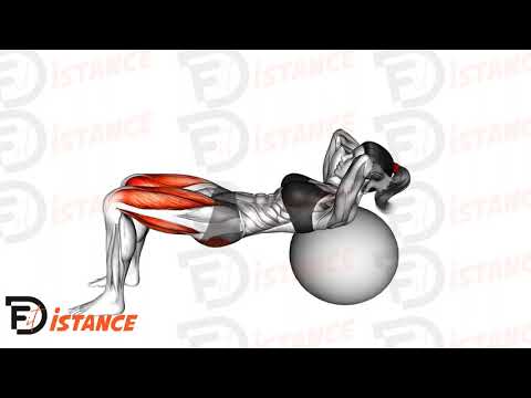 Exercice Hip Thrust allongée sur ballon (Swiss Ball)