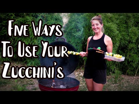 , title : 'Zucchini/Courgette Recipes | FIVE SUPER EASY, TASTY recipes to use up Courgettes'