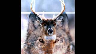 Sophie Ellis-Bextor-The Deer & The Wolf