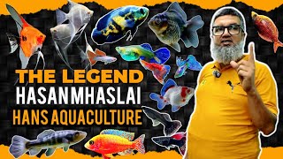 HANS AQUACULTURE | ANGELFISH | GOLDFISH | OSCAR FISH | OSCAR FISH BREEDING | HASAN MHASLAI | AQUA