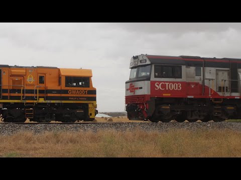 (ORA) South Line grain chase and SCT departs Tailem Bend | Standard Gauge Action Ep 9
