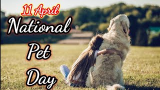 National Pet Day 2021 | National Pet Day Whatsapp Status 2021 | National Pet Day Status|Pet Day 2021