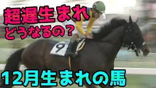 【遅生まれの不利】12月に生まれた馬・プリーミー（12月27日生まれの馬）