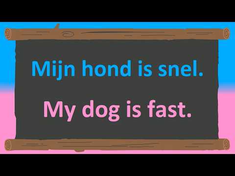 Learn 400+ Basic Dutch Phrases to Master Possessive Adjectives!