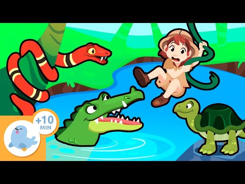 Reptiles for children 🐢🐊 Characteristics and curiosities
