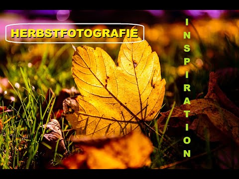 Inspirationen zur Herbstfotografie | Ein Motivationsvideo | Fotografieren macht Spaß