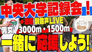 【中央大学記録会】みんなで応援＆実況ライブ！観戦＆徹底考察生配信！【同時視聴・コメント大歓迎】