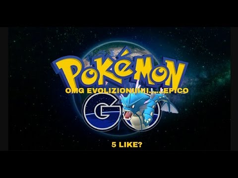 Doppia evoluzione Magikarp+uovo da 10 km in live