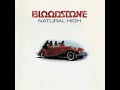 Natural High de Bloodstone
