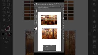 How to Create Color Palettes from Images | Adobe Illustrator Tutorial