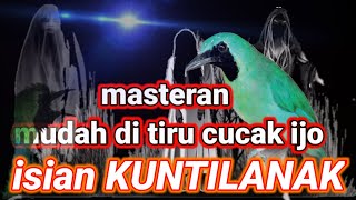 Download lagu suara MASTERAN cucak ijo gacor-cor || bongkar Isian kuntilanak mp3
