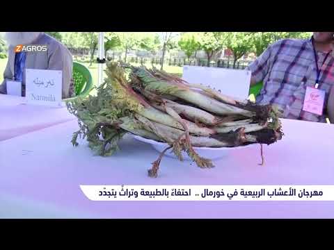 فيديو | مهرجان الأعشاب الربيعية في خورمال.. احتفاءٌ بالطبيعة وتراثٌ يتجدّد