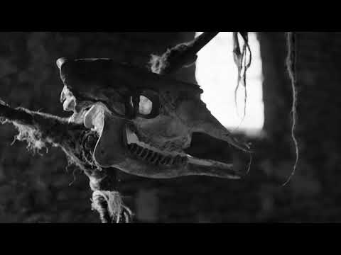 November (2017) - Cow Scene