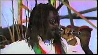 Video: Peter Tosh Live @ MOBAY 1982 &#39;African&#39;