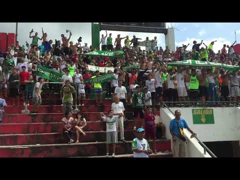 "MAFIA VERDE CLÃSICO MANABITA" Barra: Máfia Verde • Club: Liga de Portoviejo