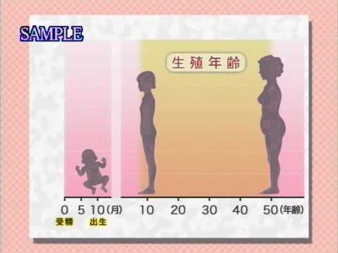 目で見る解剖と生理 第2版　Vol.13 生殖 