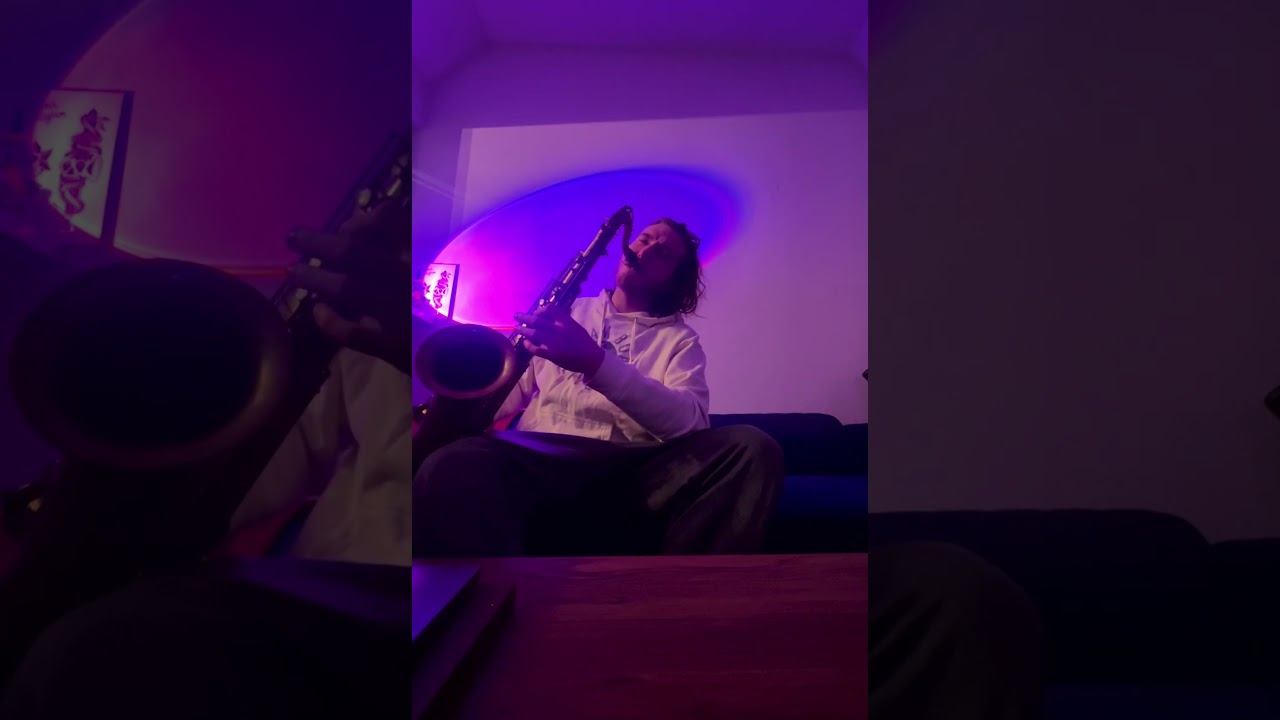 Promotional video thumbnail 3 for Sax in the City