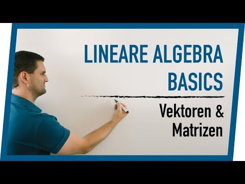 Linear Algebra | Food for thought on vectors, matrices, and linear combinations | Math by Daniel ...