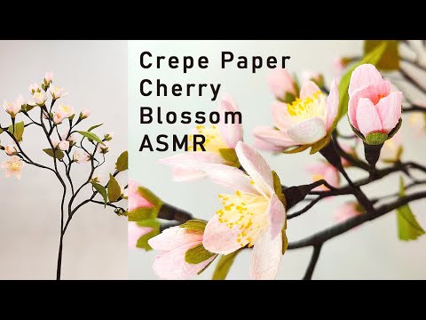 Making Crepe Paper Cherry Blossom ASMR Edition