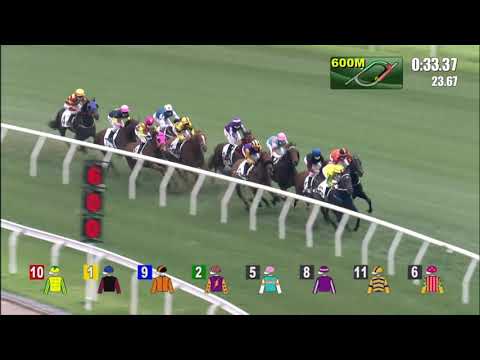 5/4/2021 (562) Hurry Hurry Gain - Vincent Ho