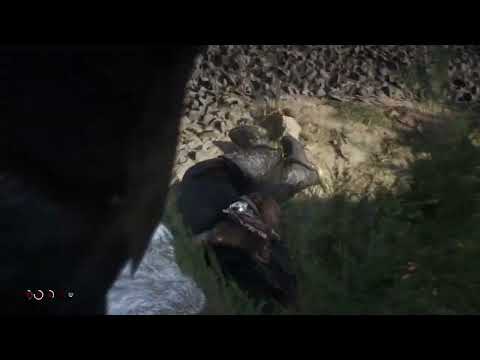 Red Dead Redemption 2_20240212164852