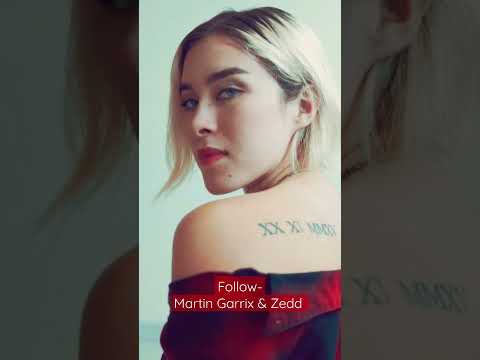 Follow - Martin Garrix & Zedd
