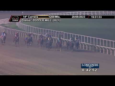 230820 c14 ECLESIASTIKO DOS