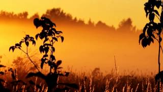 Sacred Earth ~ Shine