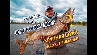 Ловля щук на силиконовые приманки