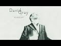 David Gray - A Moment Changes Everything (Official Audio)