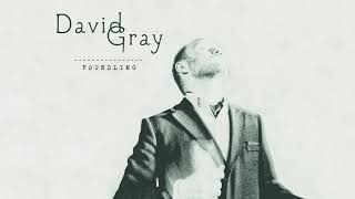 David Gray - A Moment Changes Everything (Official Audio)