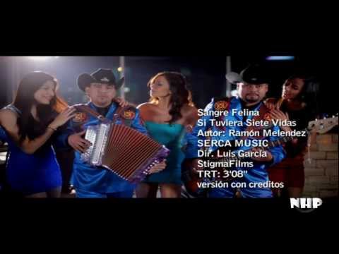 download lagu mp3 mp4 Sangre Felina Letras, download mp3 Sangre Felina Letras free download, download mp3 Sangre Felina Letras