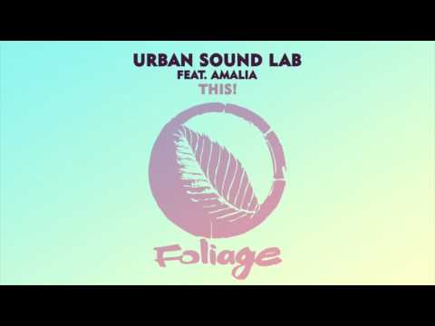 Urban Sound Lab feat. Amalia – This! (Dub)