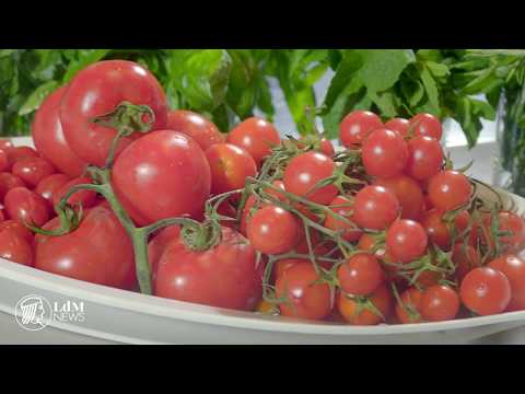 Culinária Italiana 101: parte 1