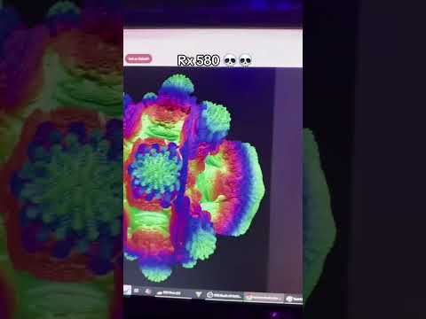 Rx 580 Gb #fyp #pc #pcbuild #tech #setup #techtok #fyp #gpu  #smartphone #computer #tiktok