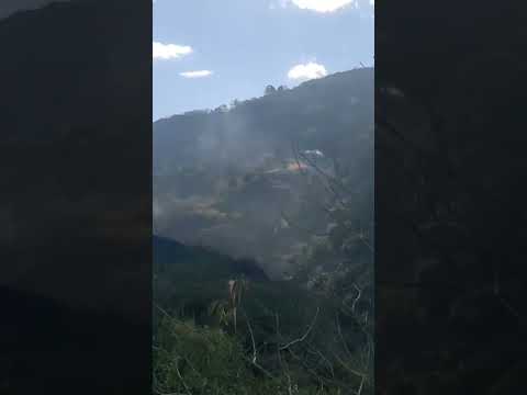 Insendio en Bolivar Cauca #noticias #incendio