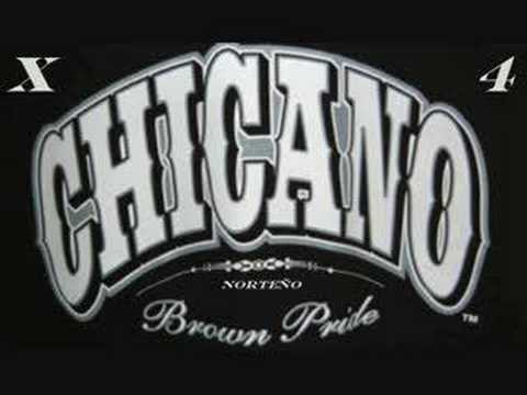 Gato Mas Loco - Norte