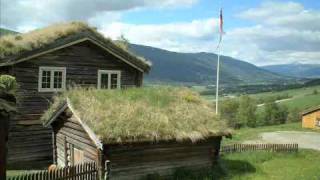 Green Roofs: Saving the Planet One Building at a Time part 1