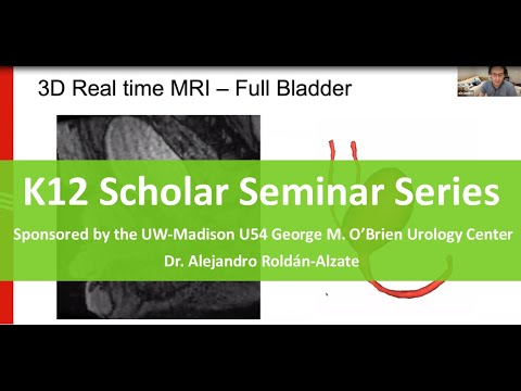 Non-Invasive Assessment of Lower Urinary Tract Biomechanics