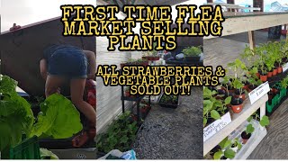 FIRST TIME FLEA MARKET PLANTS SELLING|ALL STRAWBERRIES AND VEGETABLES PLANTS WERE SOLD OUT IN DAY 2