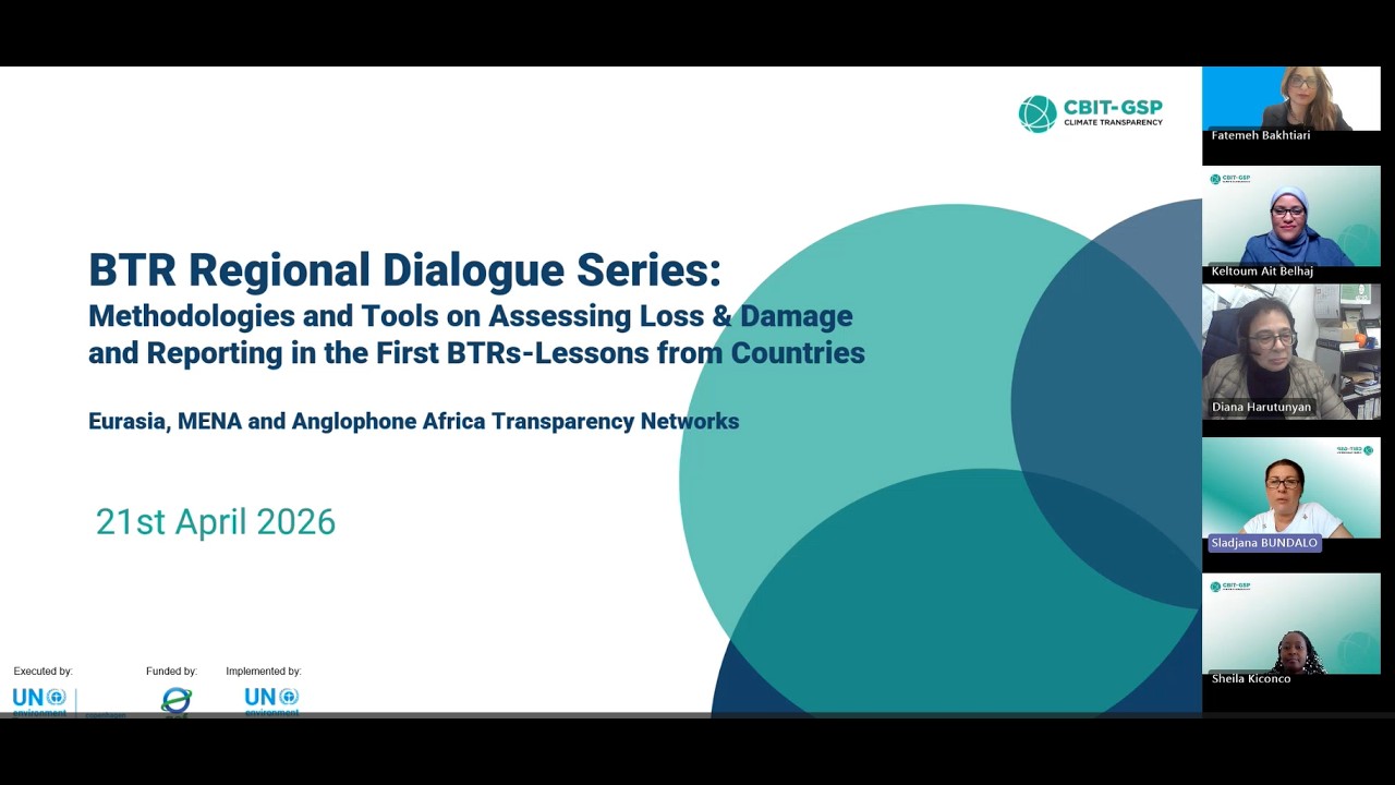 Methodologies and Tools for Assessing Loss & Damage and Reporting in the First BTRs