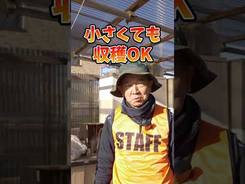 2022年に最高の菜園マルチは何ですか