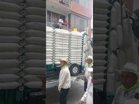 Diferentes sectores  hicieron su participacion en el  Desfile de Andas   Puente Nacional Santander