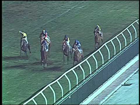 Galoppo 12/12/2015 - 7° corsa