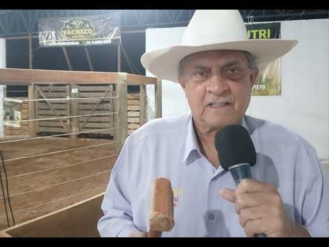 PACHECO LEILÕES - ABADIÂNIA - GO - 13/03/2026